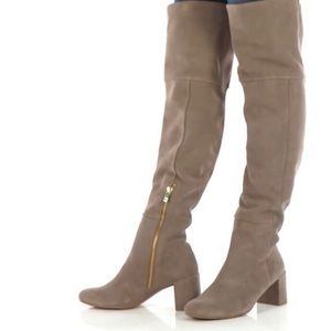 taryn rose catherine